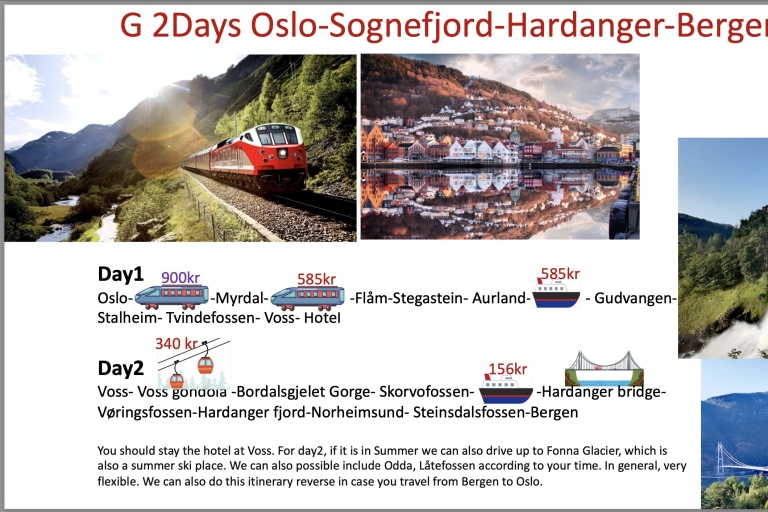 2 Tage flexible Tour zum Hardanger und Sognfjord Gletscher2 Tage flexible Tour nach Hardanger und Sognfjord Flåm