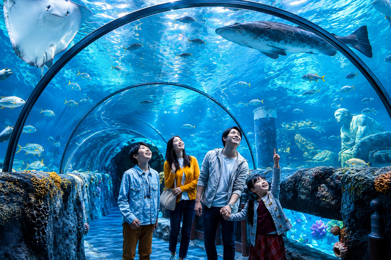 Istanbul: Aquarium Tour with Hotel Transfer Hotel Pickup & Aquarium Tour