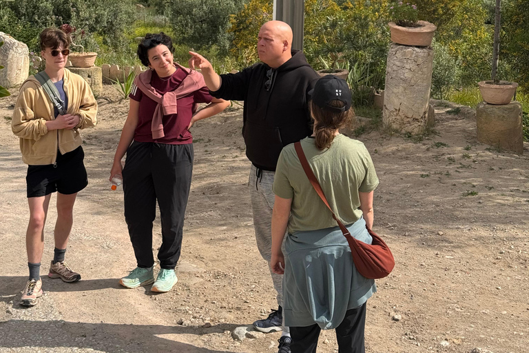 Tunis: Uthina, Zaghouan, and Zriba El Alia Day Trip