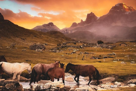 From Huaraz: 5-Day Huayhuash Trek with Camping and Meals