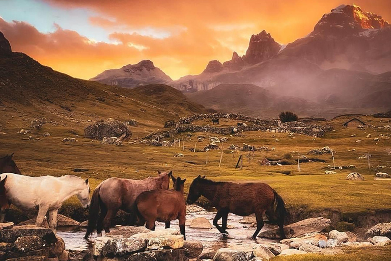 From Huaraz: 5-Day Huayhuash Trek with Camping and Meals