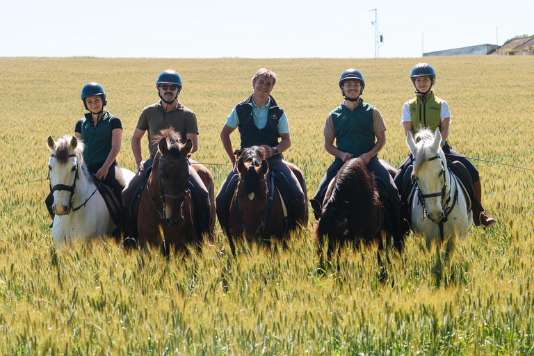 Horseback ride around Doñana National Park Horseback riding around Doñana National Park