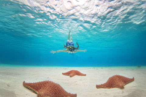 From Cancun: Cozumel Kuza Park & El Cielo Snorkel Tour