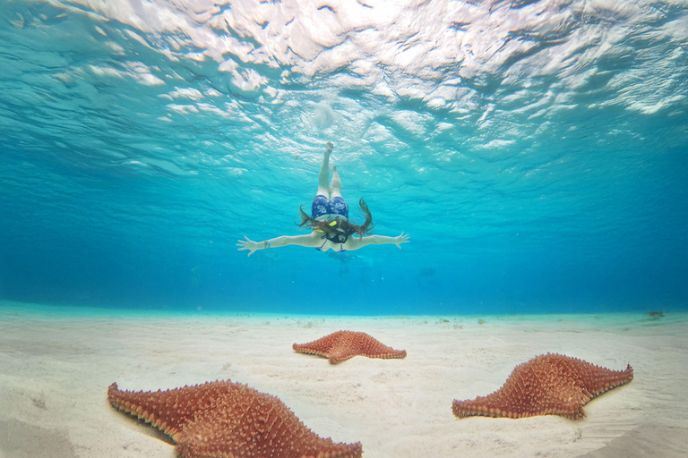 From Cancun: Cozumel Kuza Park & El Cielo Snorkel Tour