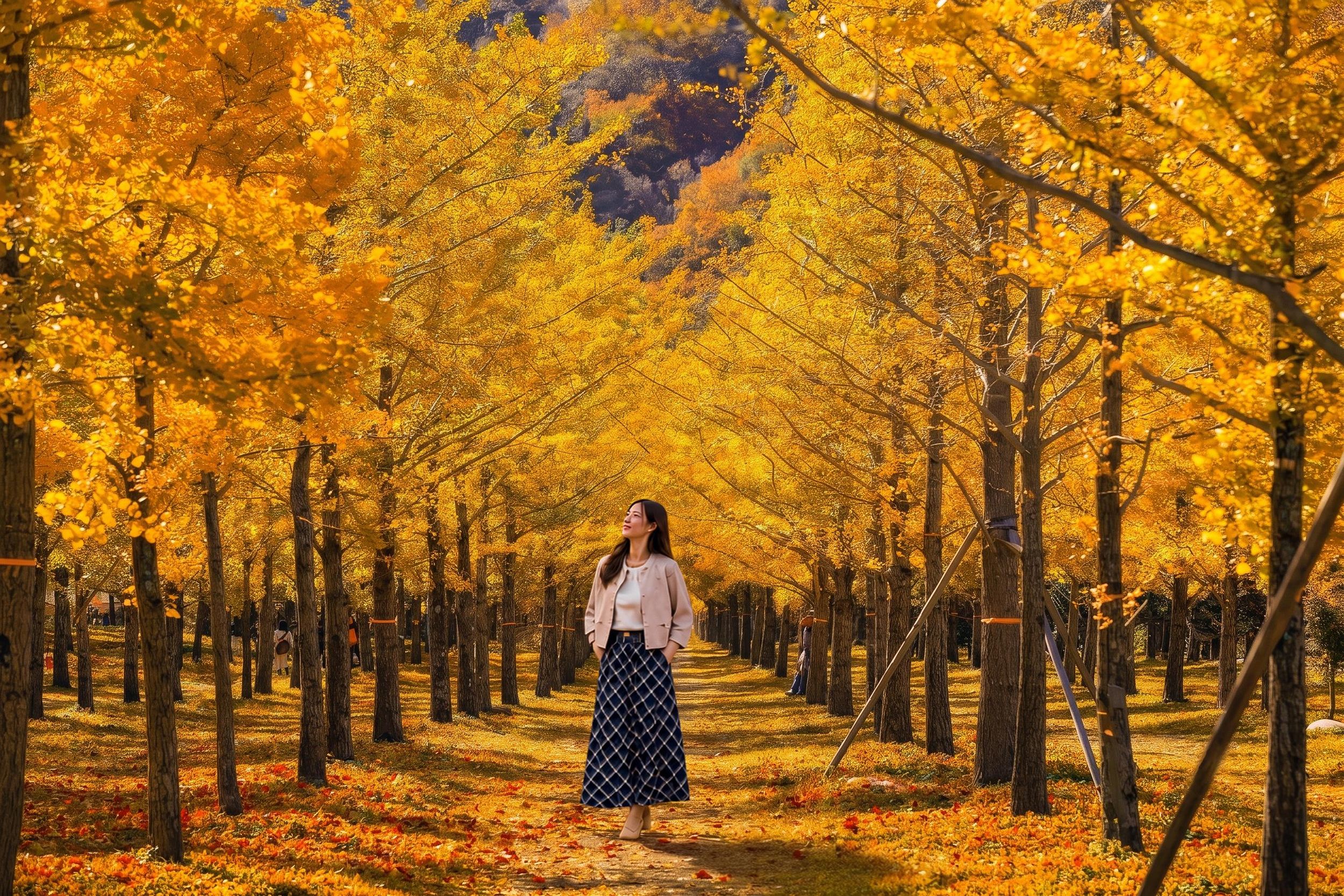 Seoul: Herbst-Spezialtour Alpaca World & Hongcheon-Ginkgo-Wald