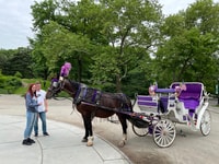 NYC, paseo guiado de carruaje de caballos de Central Park - Housity
