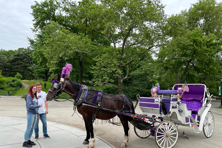 NYC: Paseo Privado en Coche de Caballos por las Luces de Navidad