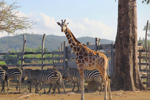 Coron Calauit Safari Tour (privétour)