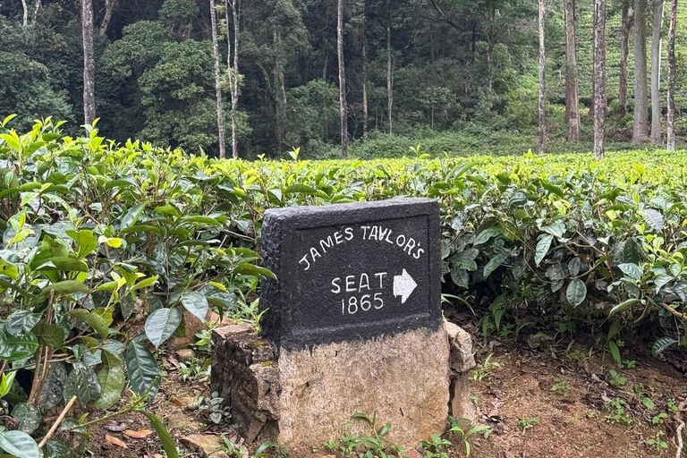 Kandy: Sir James Taylor’s Loolkandura Tea Heritage Hike