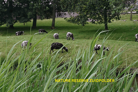 Het Rotterdamse platteland op wielen - fietstocht door de stad