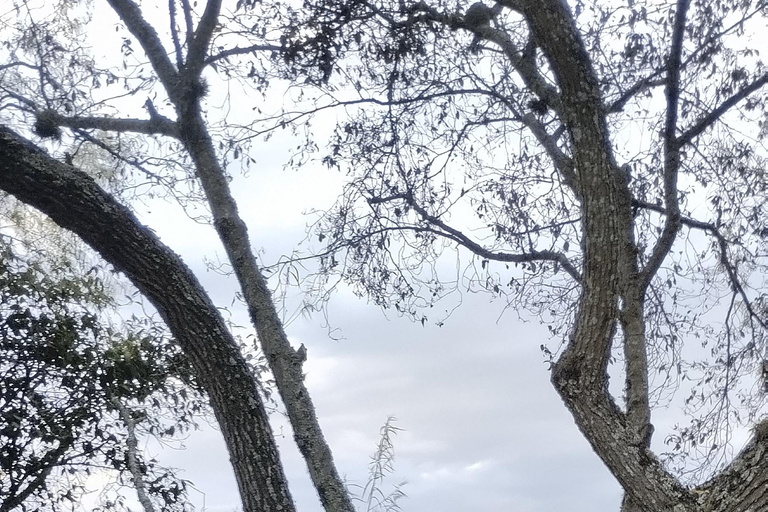 Randonnée à vélo à CuencaCuenca : Excursion à vélo