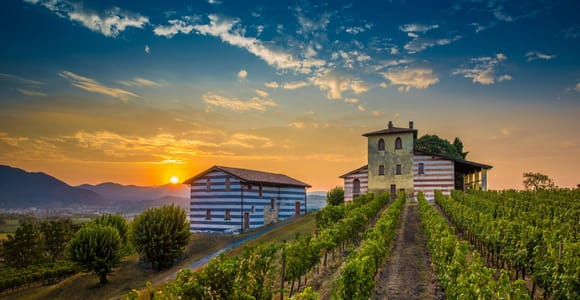 Mailand: Tagestour zum Weingut Franciacorta und Bergamo mit Mittagessen