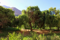 Volledige dag valle del elqui - Housity