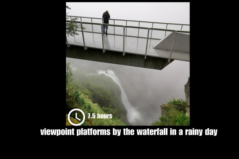 Chute d'eau de Vorings (la plus visitée de Norvège) : Excursion privée d'une journée