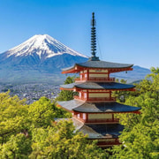 Mount Fuji Full Day Customizable Tour with English Guide