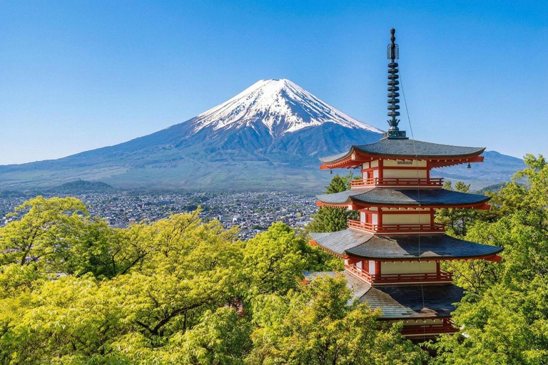 Mt Fuji 8 Spots Customizable Sightseeing Day Tour with Guide Mt Fuji 8 Spots Customizable Sightseeing Day Tour with Guide