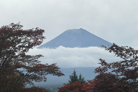 Private tour to Mt Fuji, Lake Kawaguchi and Chureito Pagoda