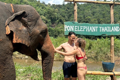 Chiang Mai: Santuário de elefantes, cascata e excursão de raftingServiço de busca no hotel