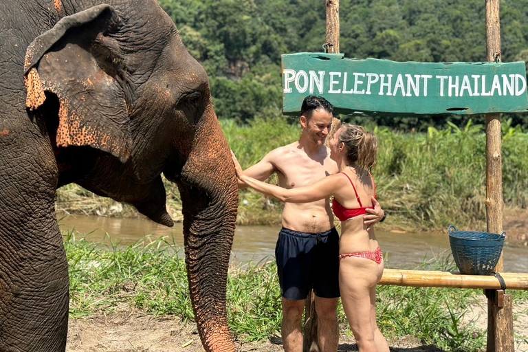 Chiang Mai: Santuário de elefantes, cascata e excursão de raftingServiço de busca no hotel