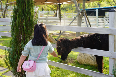 Gyeonggi Begonia Bird Park Ticket
