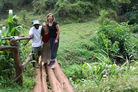 Moshi: Marangu Waterfalls and Chagga Tribe Day Tour