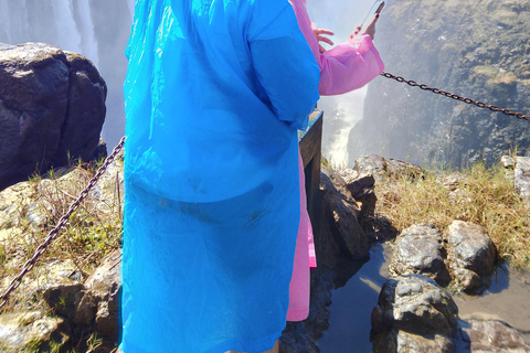 Victoria falls Rainforest: Guided Sunrise, day & sunset Tour