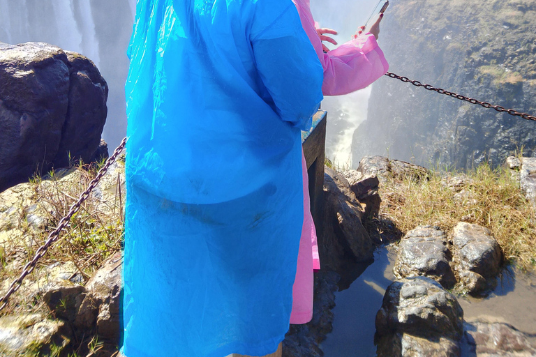 Victoria falls Rainforest: Guided Sunrise, day & sunset Tour