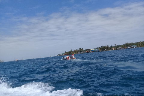 Bocas del Toro: Zapatilla Key, Dolfijn Baai, Koraal Toets