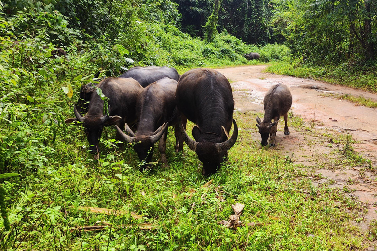 Doi Inthanon National Park (Off road) Private tour