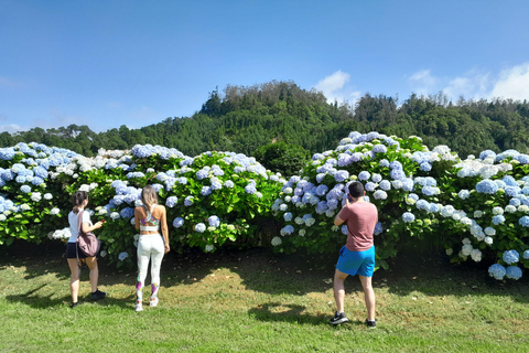 Azzorre: Tour a terra, Sete Cidades con piccolo vino e formaggio