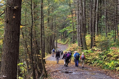 Boston: Pioneer Valley Waterfalls Tour with Transfers