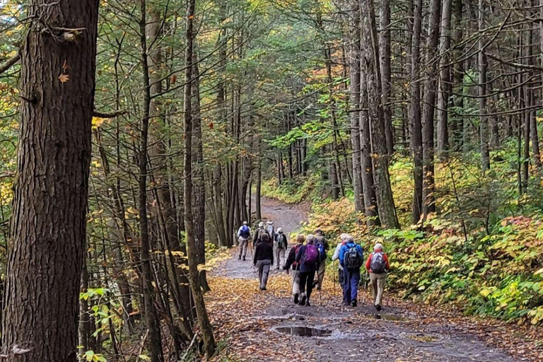 Boston: Pioneer Valley Waterfalls Tour with Transfers