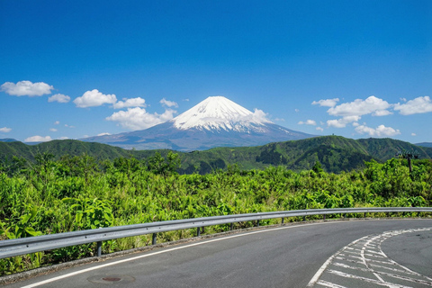 Mt. Fuji & Hakone Tour: Arakurayama, OshinoHakkai, Owakudani Tokyo Station | 7:30 AM Departure with English Guide