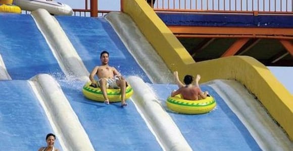 Puerto Vallarta: Dolphin Royal Swim at Aquaventuras Park
