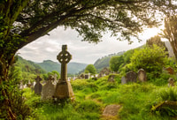 From Dublin, 5-Day Tour of Ireland's South-East - Housity