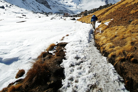 Kathmandu: Mardi Himal & Annapurna Base Camp Trek Service Trekking without Porter