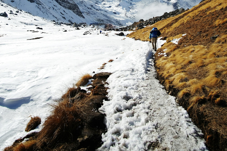 Kathmandu: Mardi Himal & Annapurna Base Camp Trek Service Trekking without Porter