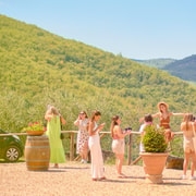 Florence: Chianti Wineries Tour with Wine Tasting