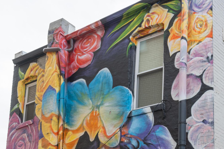 Washington, DC : visite guidée par un expert en métroWashington, DC : Visite guidée par un expert en métro