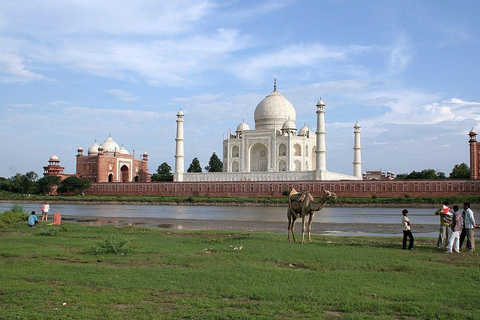 From Delhi: Private Taj Mahal tour with popular guide From Delhi:-Guide, tickets, transport, lunch(all inclusive)