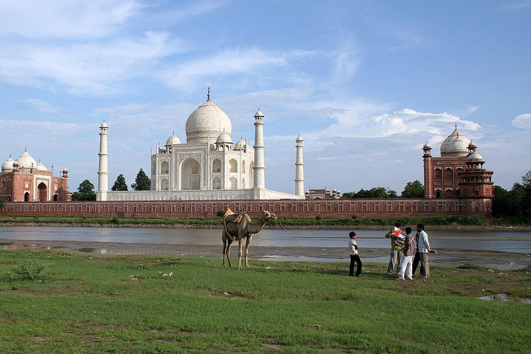 From Delhi: Private Taj Mahal tour with popular guide From Delhi:-Guide, tickets, transport, lunch(all inclusive)