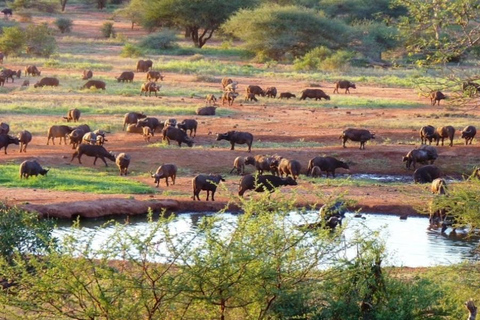 Mombasa: 3-Day Tsavo East/West & Kilimanjaro Views Safari
