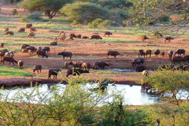 Mombasa: 3-Day Tsavo East/West & Kilimanjaro Views Safari