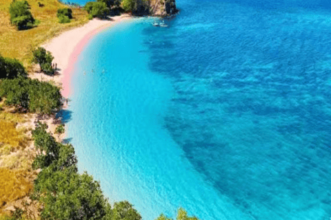 Lombok: 4-Day Komodo with Whale Sharks Private Cabin