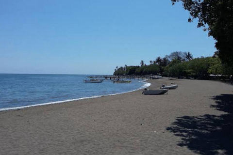 Bali: Shore Excursion Cruise Ship From Celukan Bawang Port Customize Your Own Itinerary (Not Include Entrance Tickets)