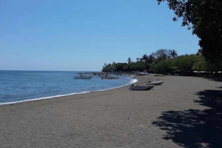 Bali: Shore Excursion Cruise Ship From Celukan Bawang Port Customize Your Own Itinerary (Not Include Entrance Tickets)