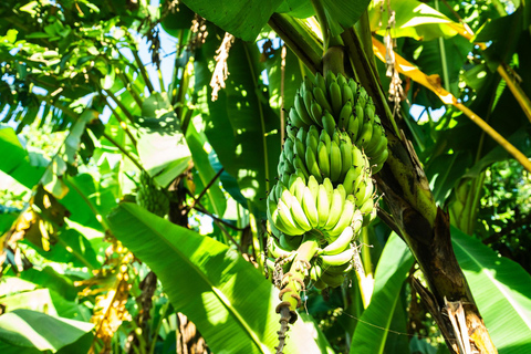 Dagtrip Zanzibar: Stone Town, Spice Tour en GevangeniseilandGedeelde groepsreis