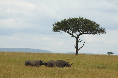 8-tägige Safari und Sansibar-Flucht