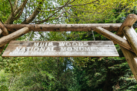 Z San Francisco: wycieczka grupowa Muir Woods i Sausalito