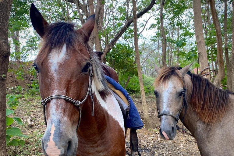 Playa Venao: Horseback Riding Tour
